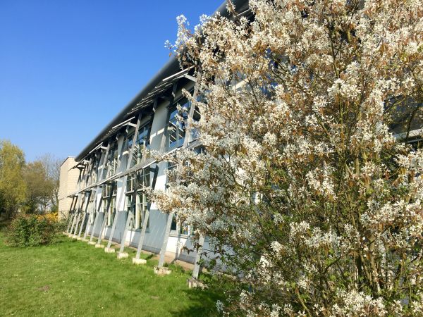 Neubau Frühling s